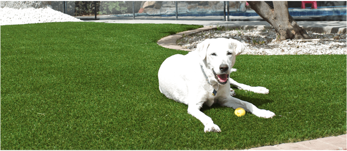 Pet Artificial Grass System for dog runs, dog parks, backyards, Irvine, CA