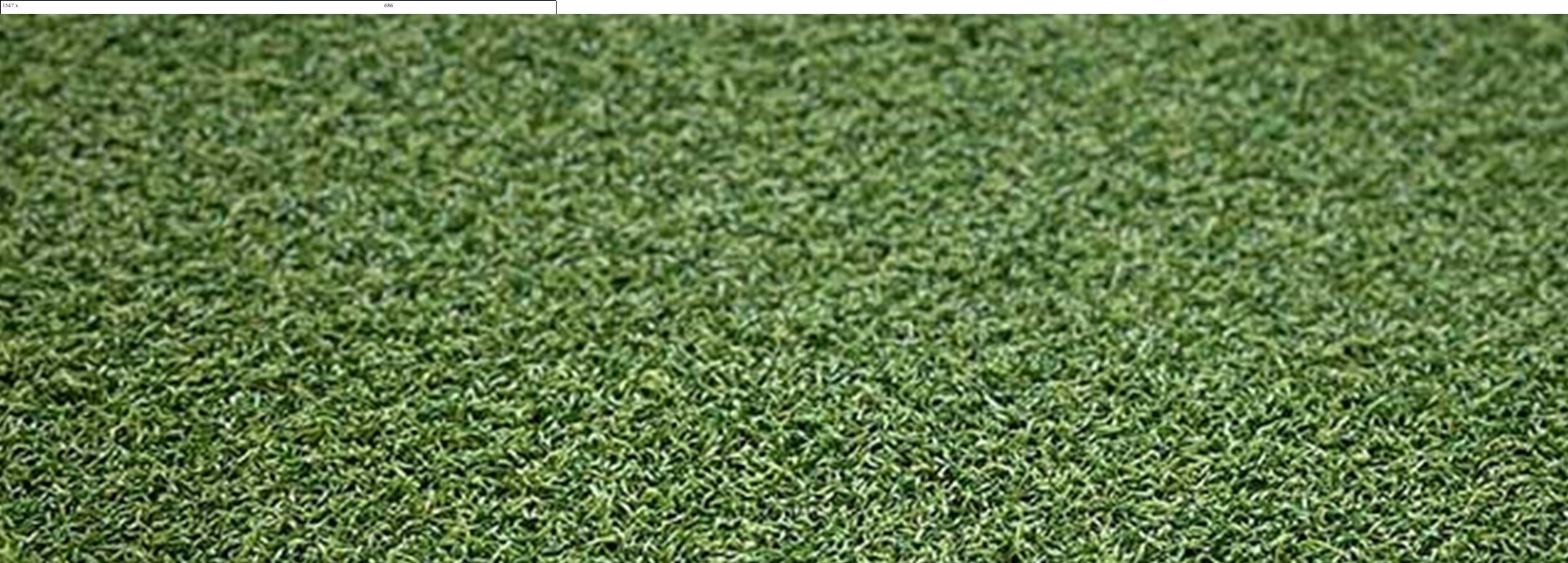 Xtreme Sports/Play Turf, Irvine, CA