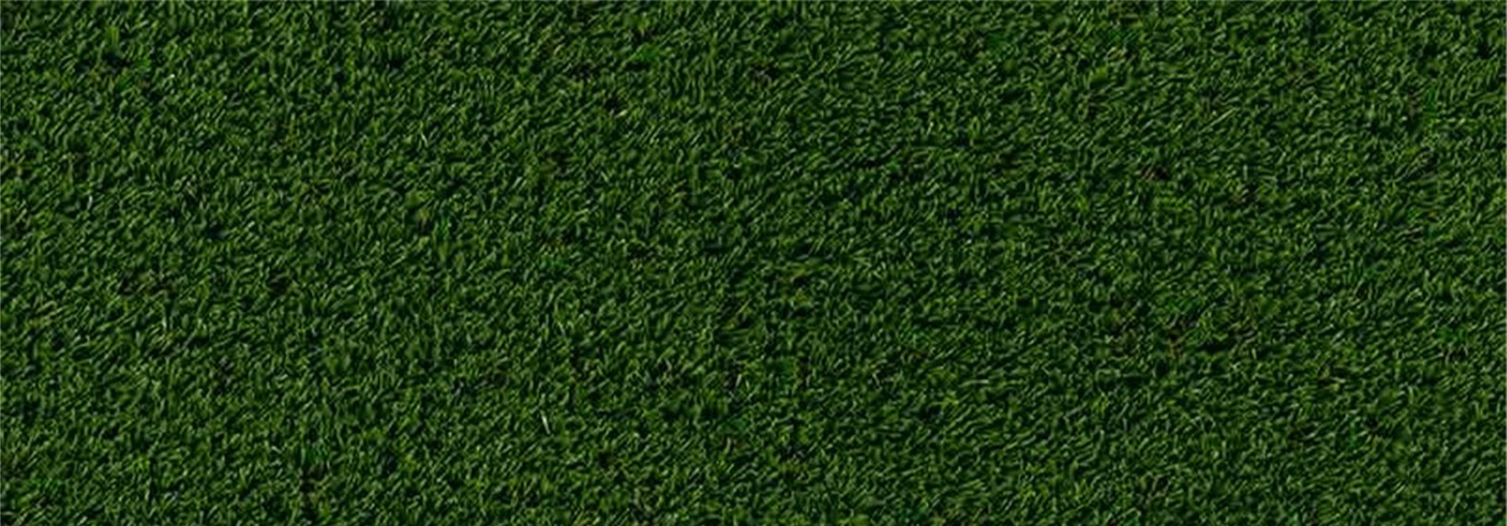 Oakmont Artificial Grass, Irvine Artificial Grass